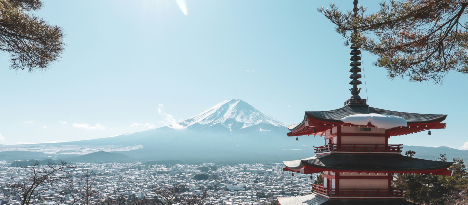 富士山と桜